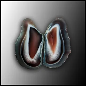 BOT331pr Botswana Agate Specimen Pair