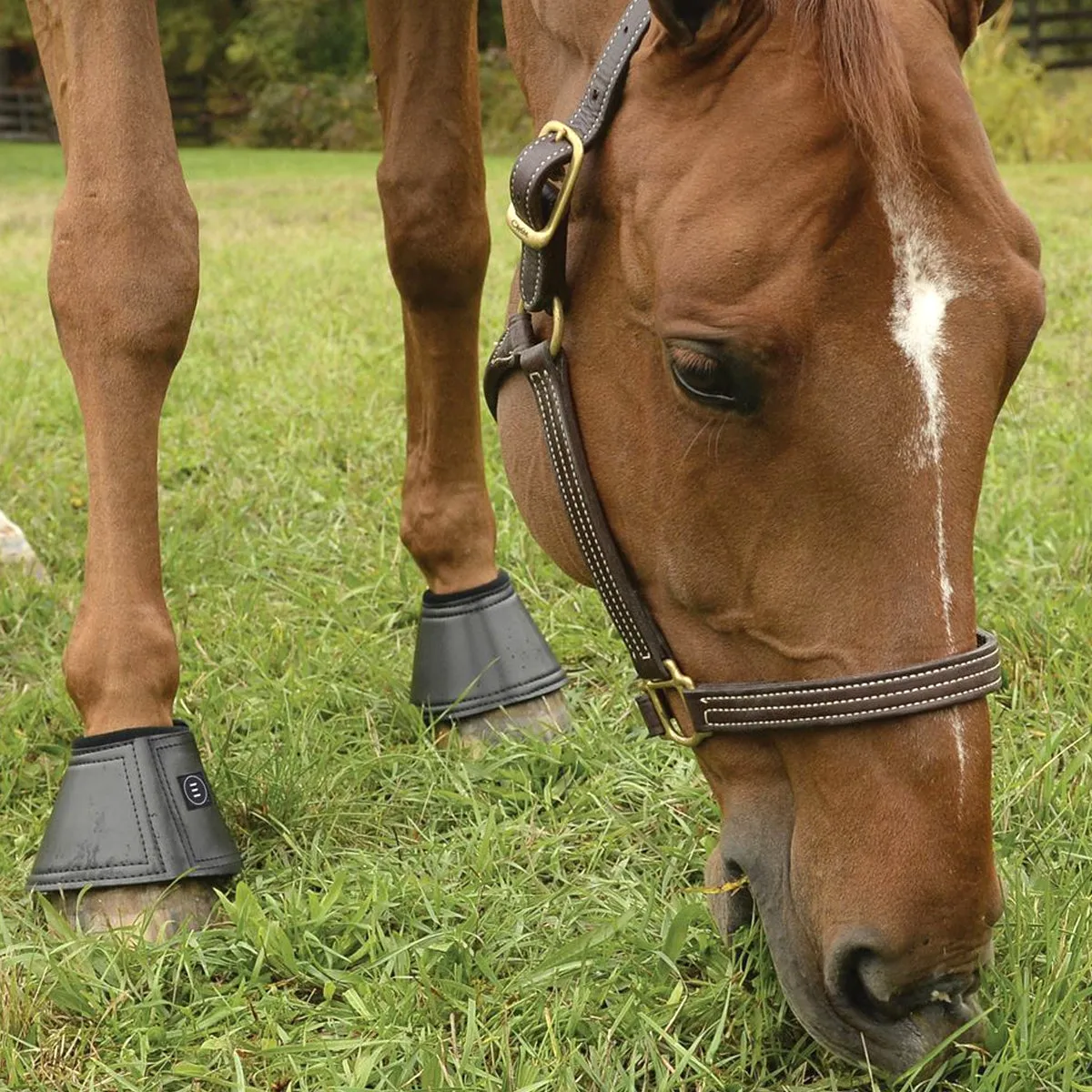 EquiFit Essential Bell Boot