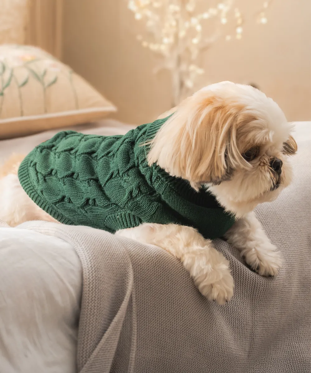 Pack of 2 Dog sweaters Jingle