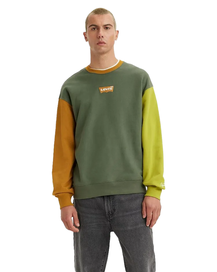 Relaxed Graphic Colourblock Sweatshirt in Thyme