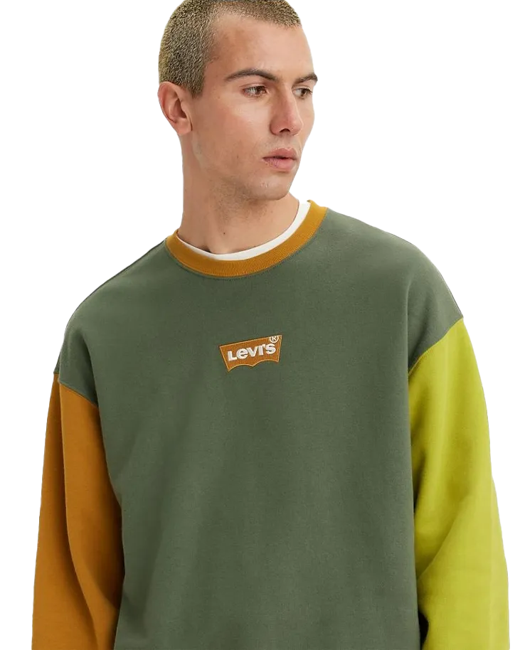 Relaxed Graphic Colourblock Sweatshirt in Thyme